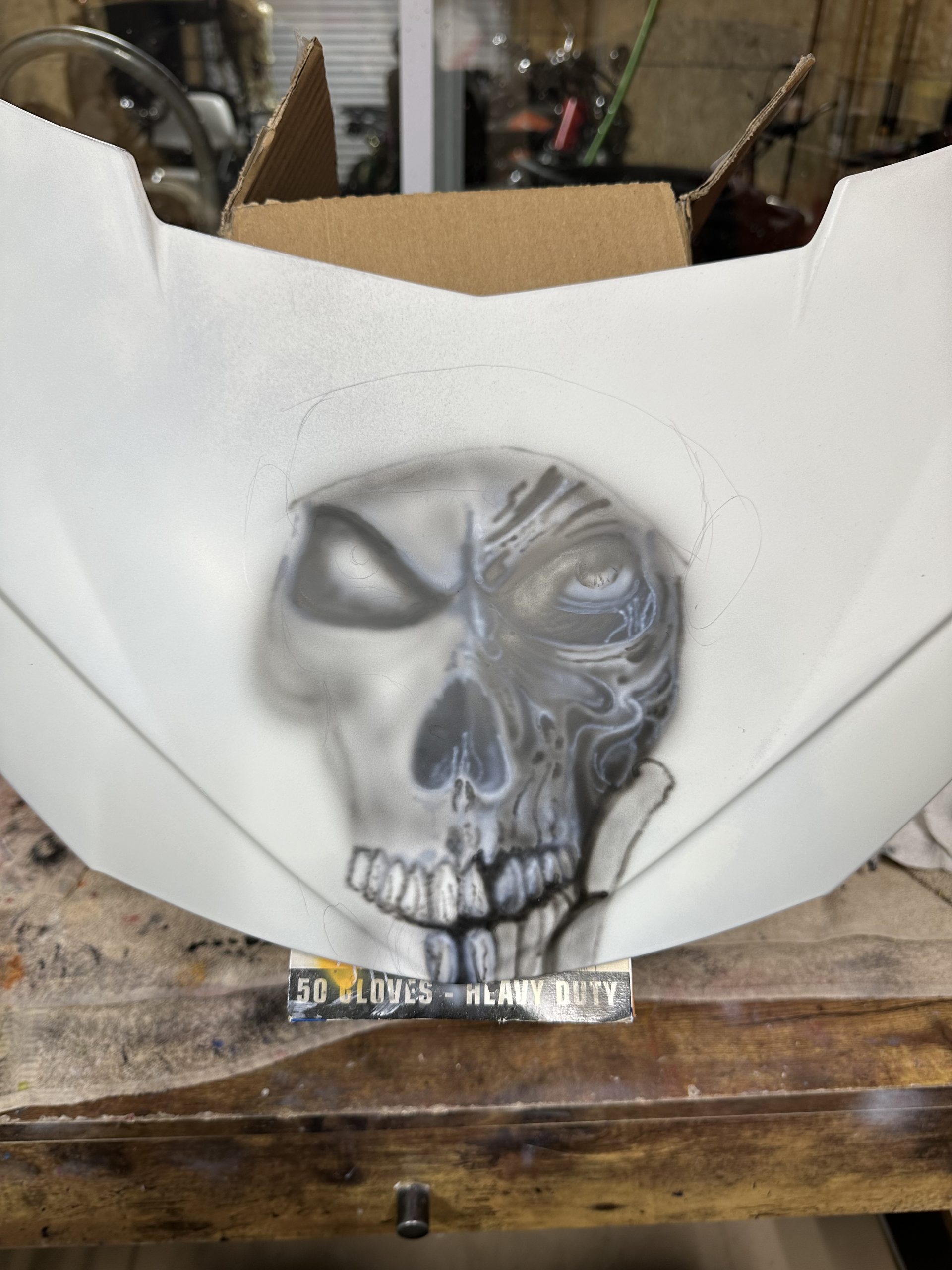 Snake Bike  Fairing Progress